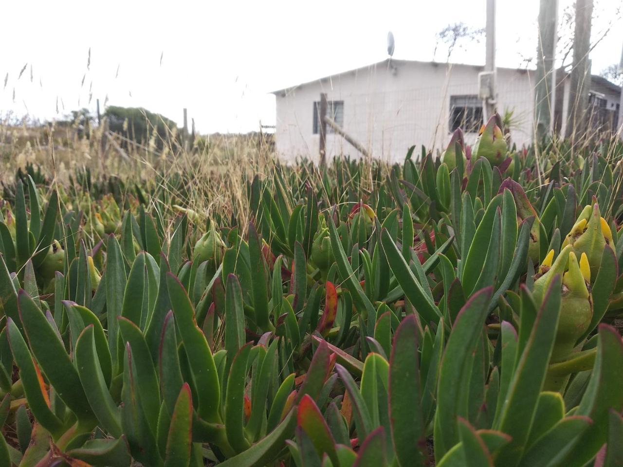 Villa La Casa De Juan Cuchilla Alta Esterno foto